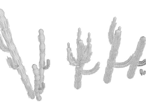 5 Cactus low-poly Model 3D