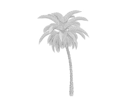 5 Date palm 01 Low poly 3D Model