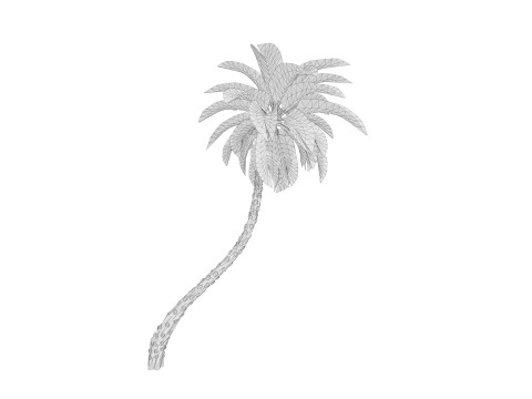 5 Date palm 01 Low poly 3D Model