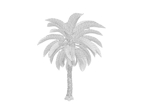 5 Date palm 01 Low poly 3D Model