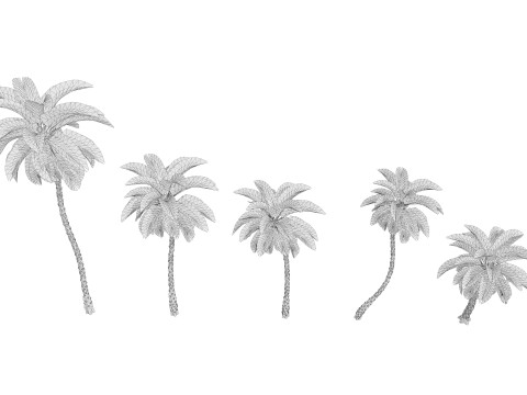 5 Date palm 01 Low poly 3D Model