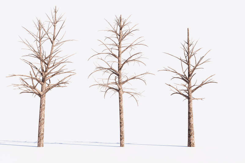 3 Dead Trees Pack Model 3D .c4d .max .obj .3ds .fbx .stl .blend 