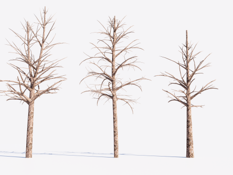 3 Dead Trees Pack 3Dモデル