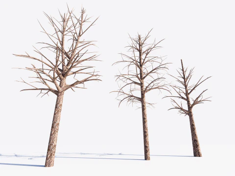 3 Dead Trees Pack 3D Model