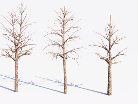 3 Dead Trees Pack Model 3D