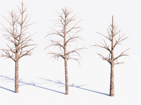 3 Dead Trees Pack 3D Model