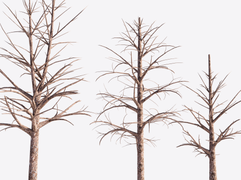 3 Dead Trees Pack Model 3D