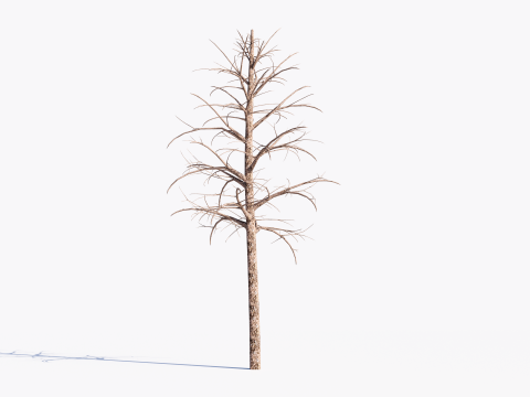 3 Dead Trees Pack Model 3D