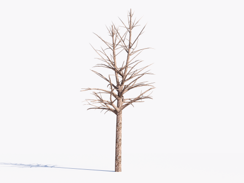 3 Dead Trees Pack Model 3D