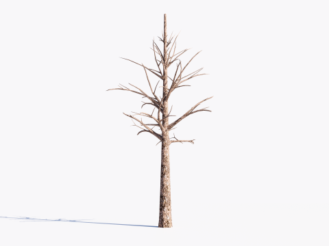 3 Dead Trees Pack Model 3D