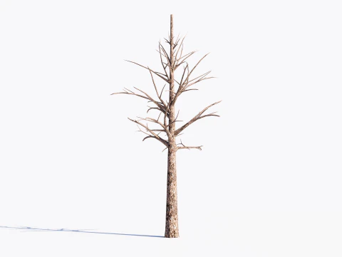 3 Dead Trees Pack 3D Model