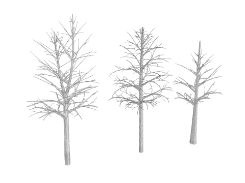 3 Dead Trees Pack 3D Model