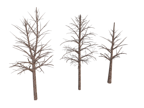 3 Dead Trees Pack Model 3D