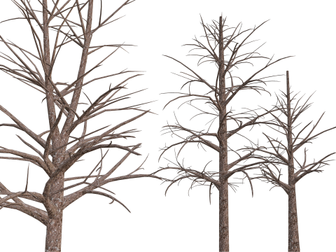 3 Dead Trees Pack Model 3D