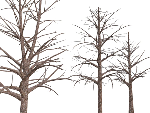 3 Dead Trees Pack 3D Model