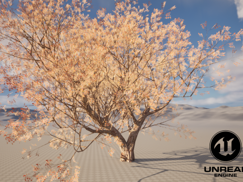 Maple tree 01 Modèle 3D