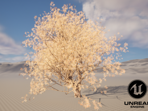 Maple tree 01 Modèle 3D