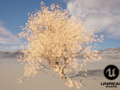 カエデの木01 3Dモデル