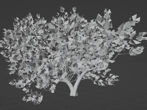 カエデの木01 3Dモデル