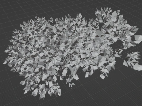 カエデの木01 3Dモデル