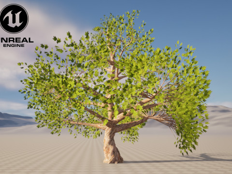 Tree 01 3D Model