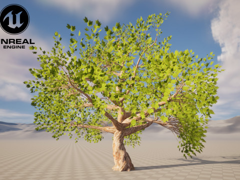 Tree 01 3D Model