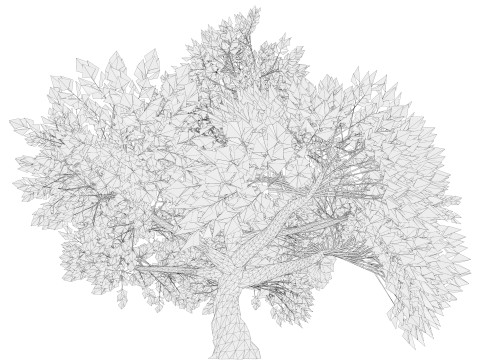 Tree 01 3D Model
