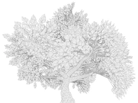 Tree 01 3D Model