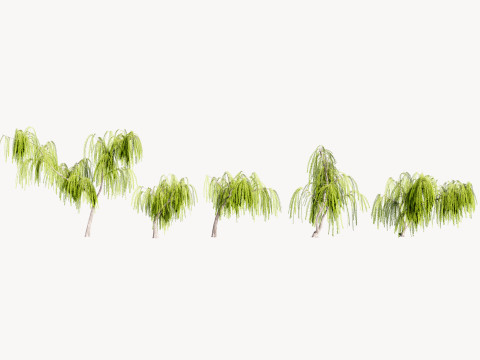 5 Willow Tree low-poly 3Dモデル