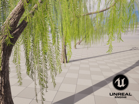 5 Willow Tree low-poly 3Dモデル