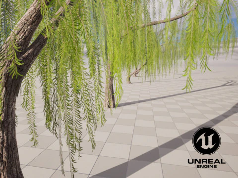 5. Ива низкополигональная 3D Модель