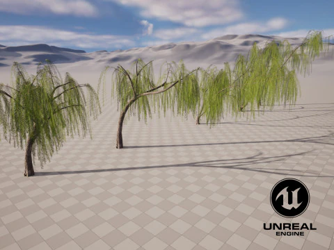 5. Ива низкополигональная 3D Модель