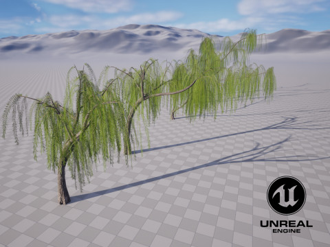 5 Willow Tree low-poly 3Dモデル