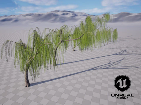 5. Ива низкополигональная 3D Модель