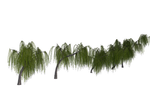 5 Willow Tree low-poly 3Dモデル
