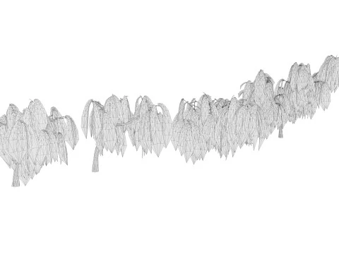 5. Ива низкополигональная 3D Модель