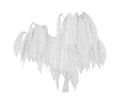 5. Ива низкополигональная 3D Модель