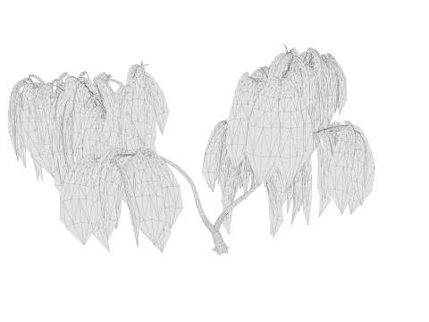 5. Ива низкополигональная 3D Модель