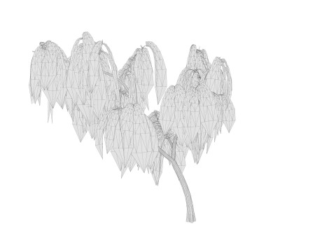 5 Willow Tree low-poly 3Dモデル