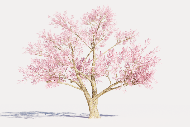 4 Pink Tree Model 3D .c4d .max .obj .3ds .fbx .stl .blend