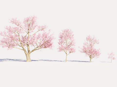 4 Pink Tree Model 3D