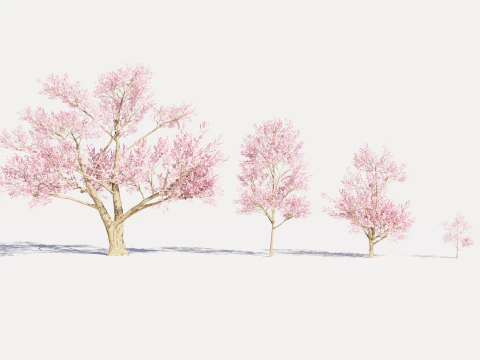 4 Pink Tree 3D Model