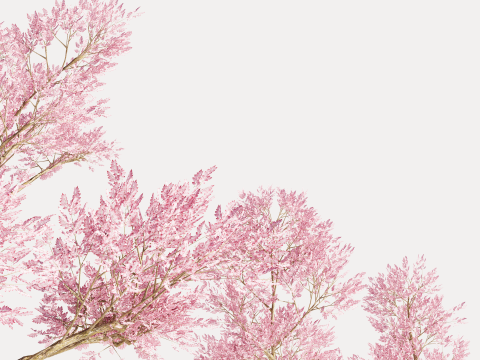 4 Pink Tree Model 3D