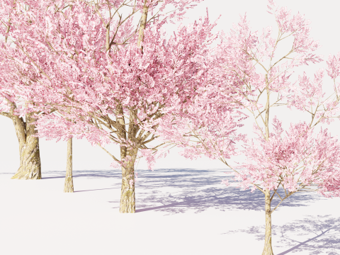4 Pink Tree Model 3D