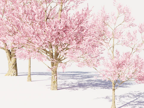 4 Pink Tree 3D Model