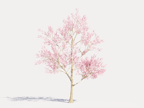 4 Pink Tree Model 3D