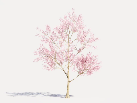 4 Pink Tree 3D Model