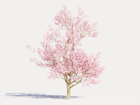 4 Pink Tree Model 3D