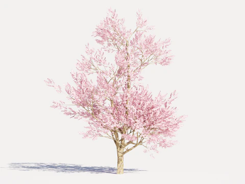 4 Pink Tree 3D Model