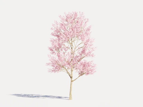 4 Pink Tree 3D Model